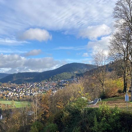 Ferienwohnung Das Nest Schiltach Kültér fotó