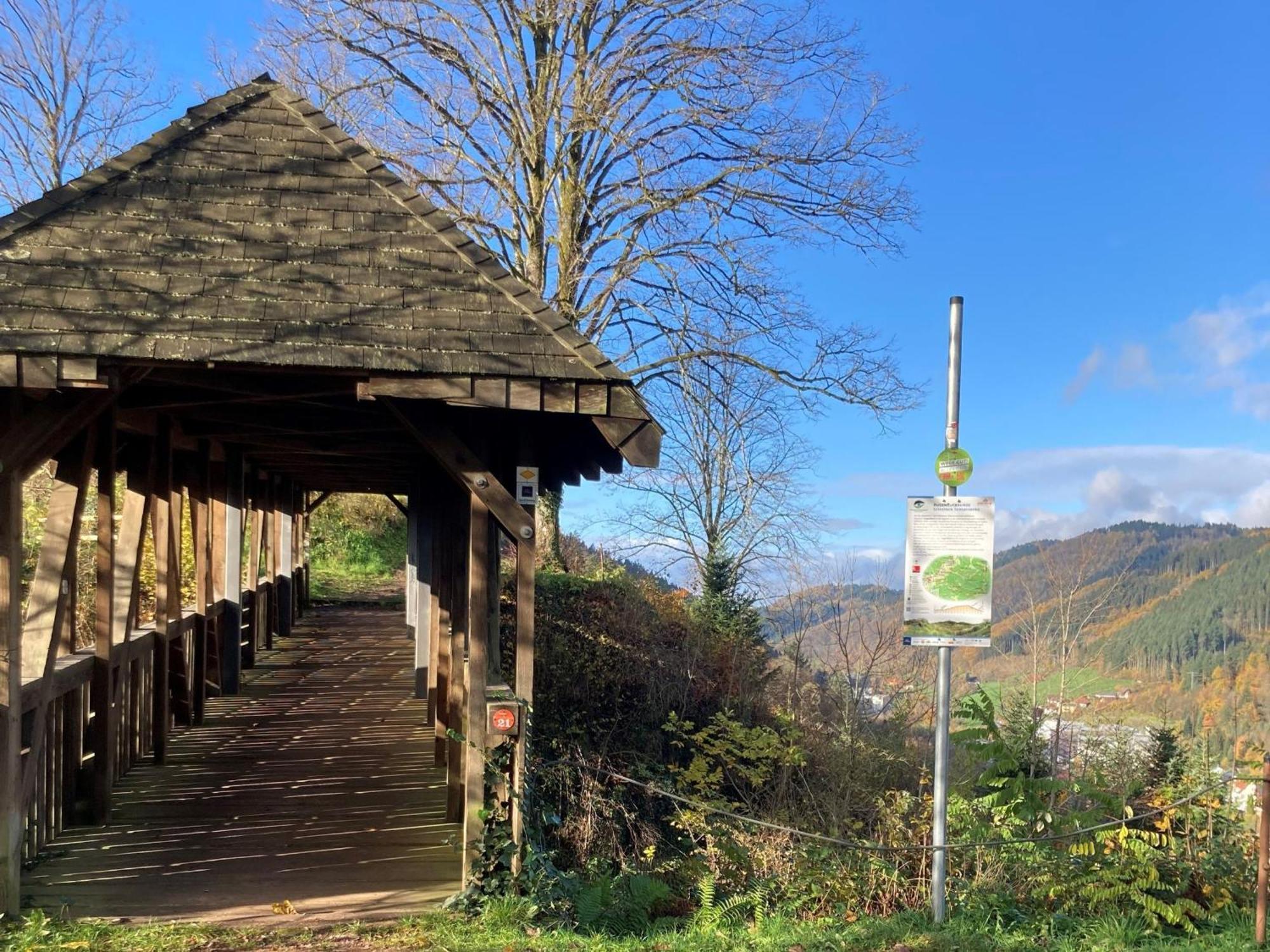Ferienwohnung Das Nest Schiltach Kültér fotó